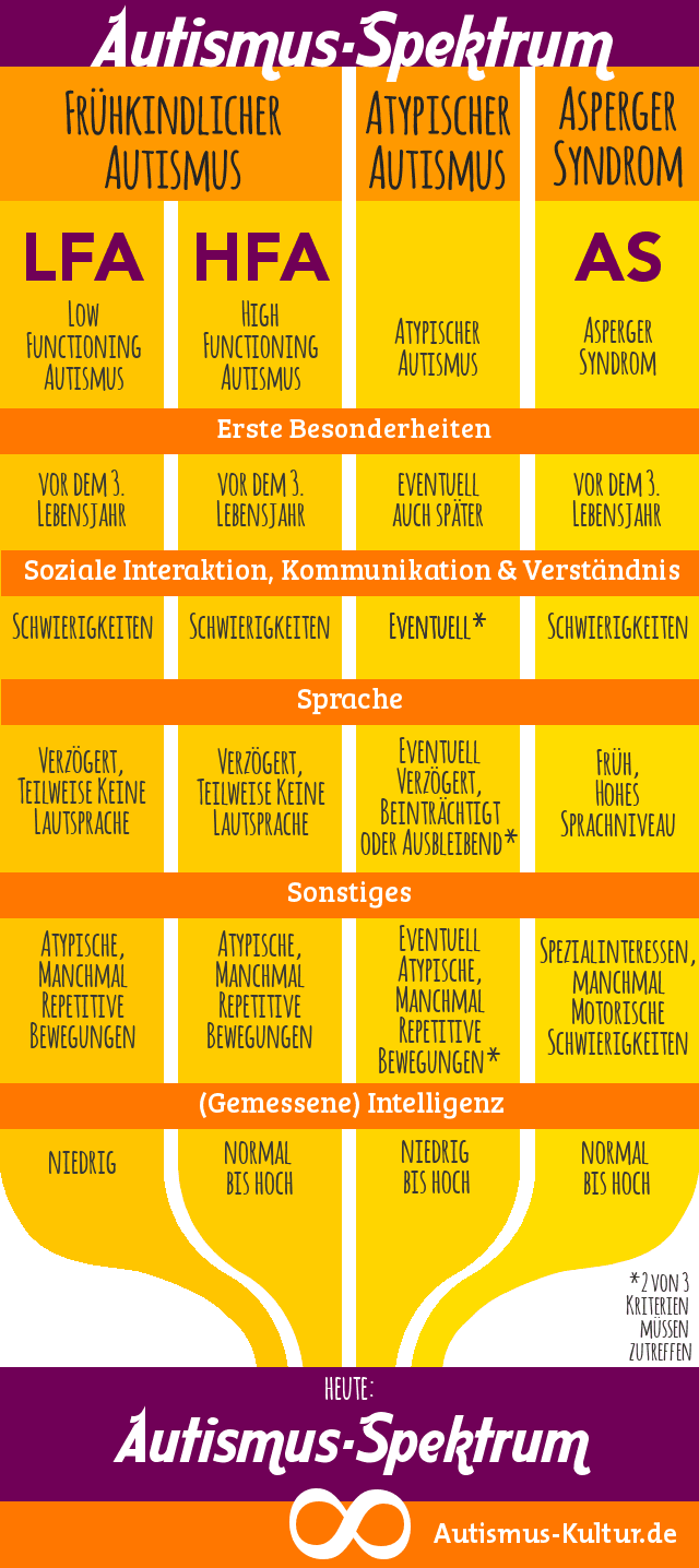 Ist Asperger und hochfunktionaler Autismus das gleiche?