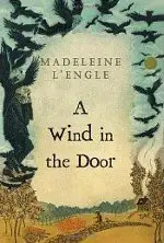 A Wind in the Door von Madeleine L'Engle