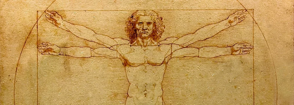 Mensch. Zeichnung von Leonardo da Vinci