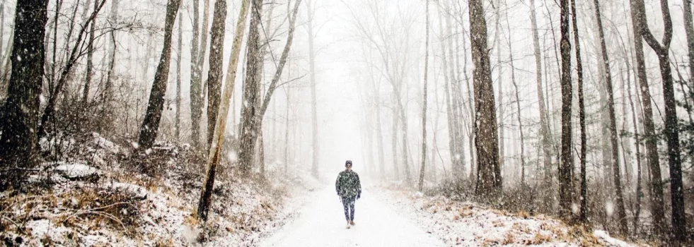 Einsamer Mensch auf verschneitem Waldweg
