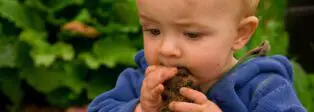 Pica-Syndrom: Kleinkind isst Erde